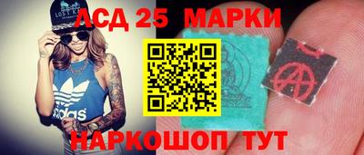 гидра Будённовск