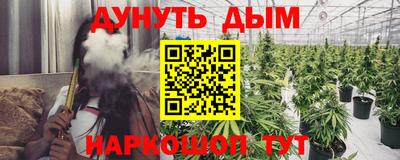 гидра Будённовск