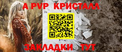 гидра Будённовск