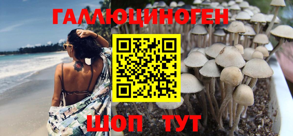 как найти закладки  Вход с VPN  Ялта  Псилоцибиновые грибы Psilocybe 