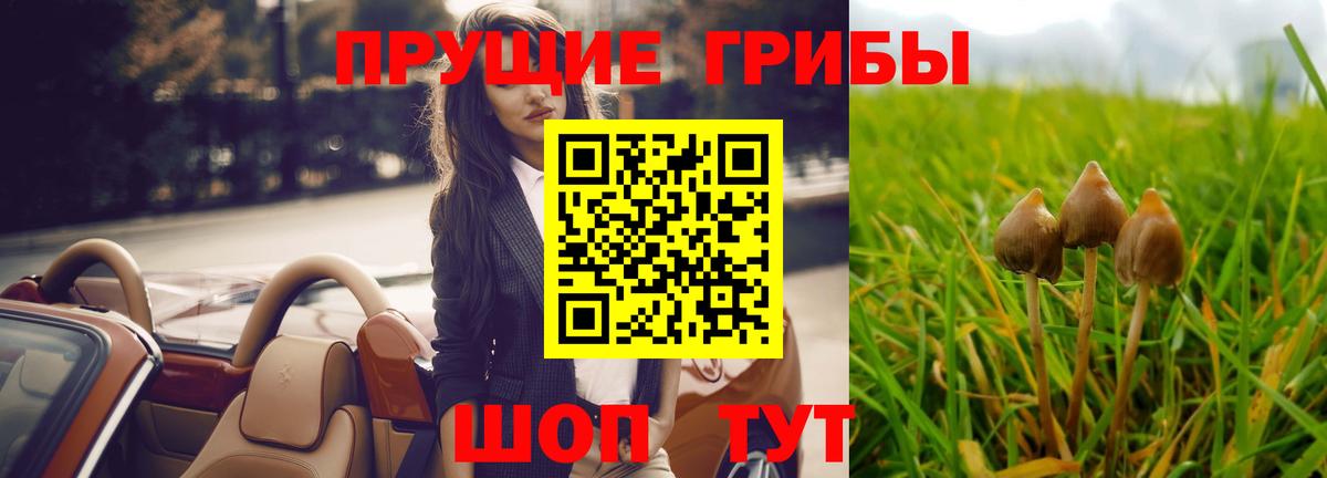 Галлюциногенные грибы Magic Shrooms Ялта